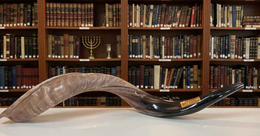 Shofar Large